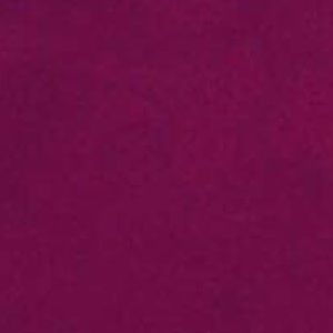 Meet your Posher, Alondra